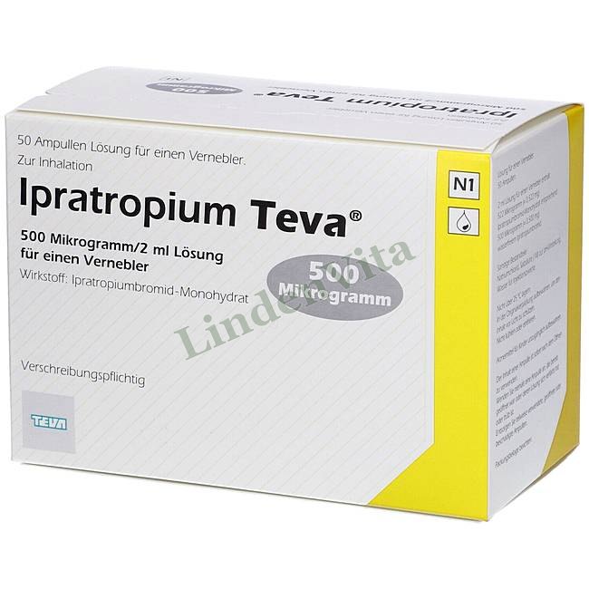Ипратропиум / Ipratropium - Ипратропия бромид / Дыхательная система — упаковка препарата